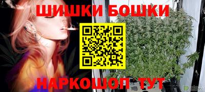 прущие грибы Канаш