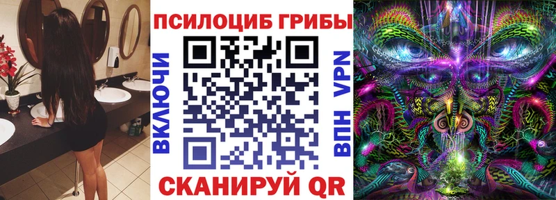 Псилоцибиновые грибы мицелий  где купить наркотик  Нефтекамск 